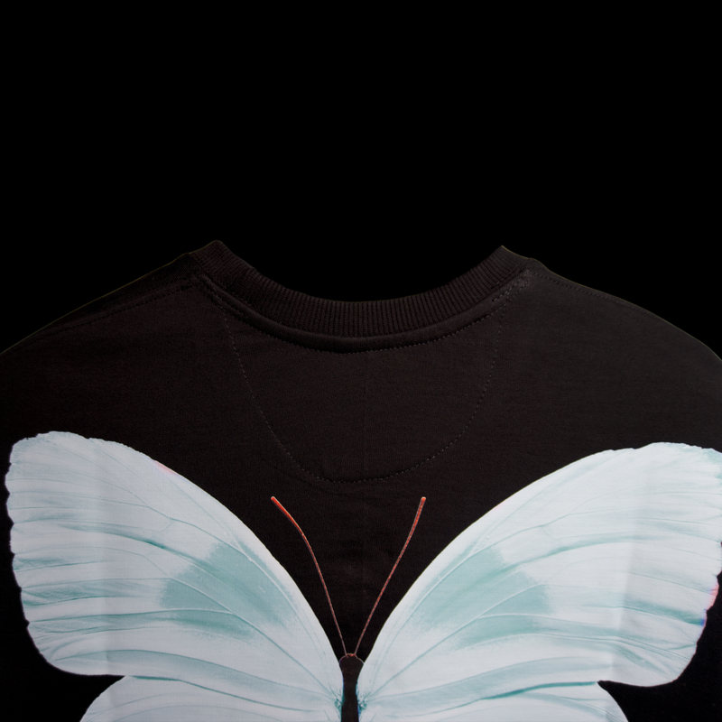 Le Voyageur de Soie CULEKN