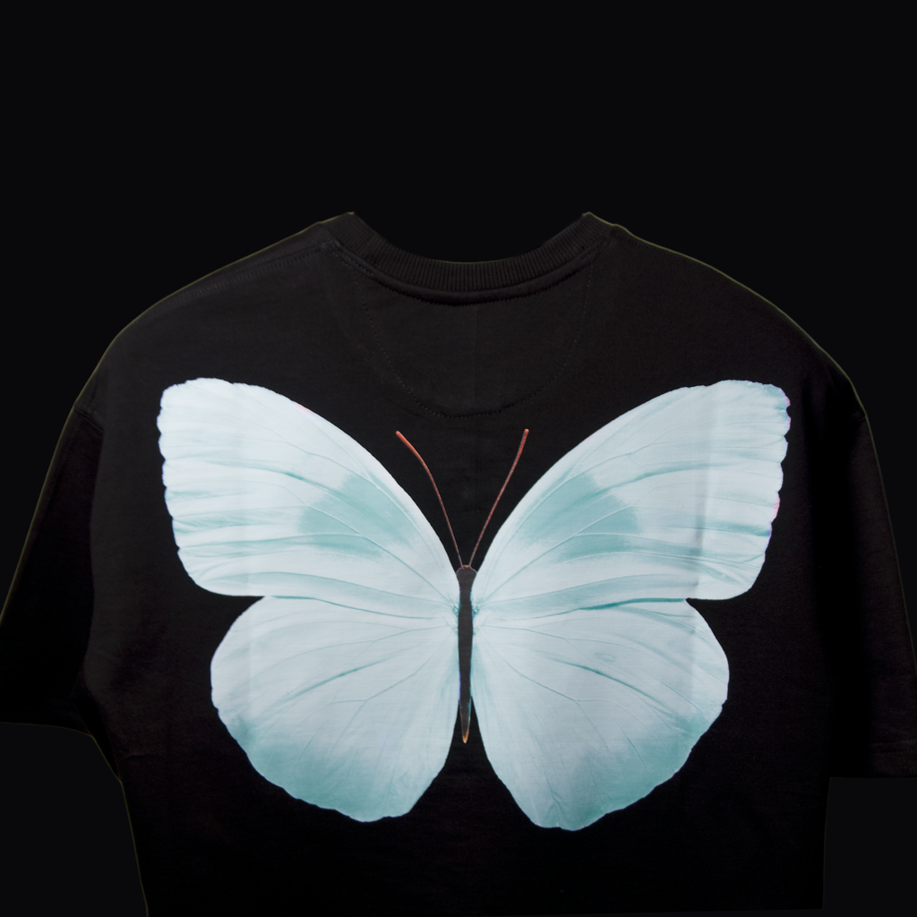 Le Voyageur de Soie CULEKN