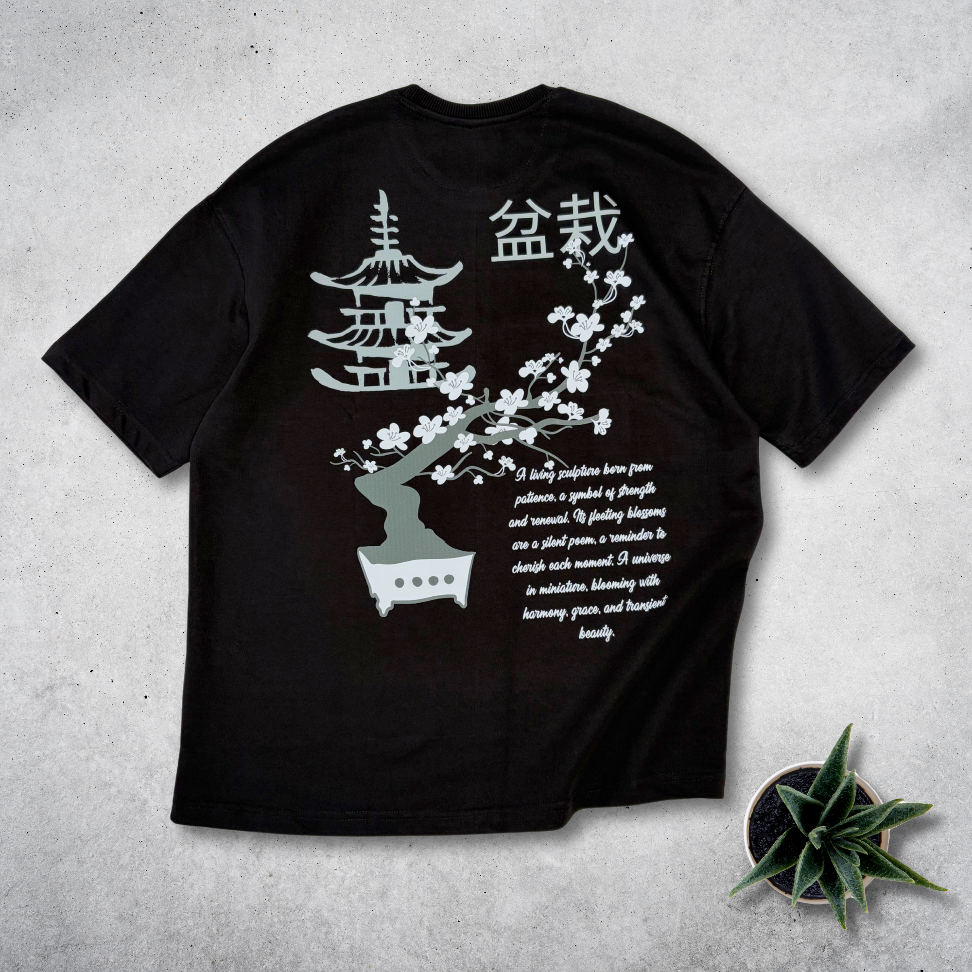 Bonsaï Japonais - Tee Noire
