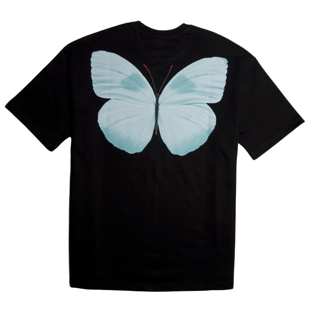 Le Voyageur de Soie CULEKN