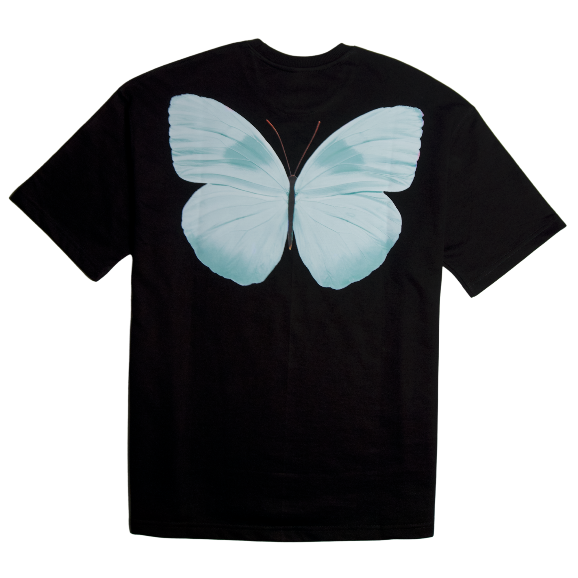 Le Voyageur de Soie CULEKN