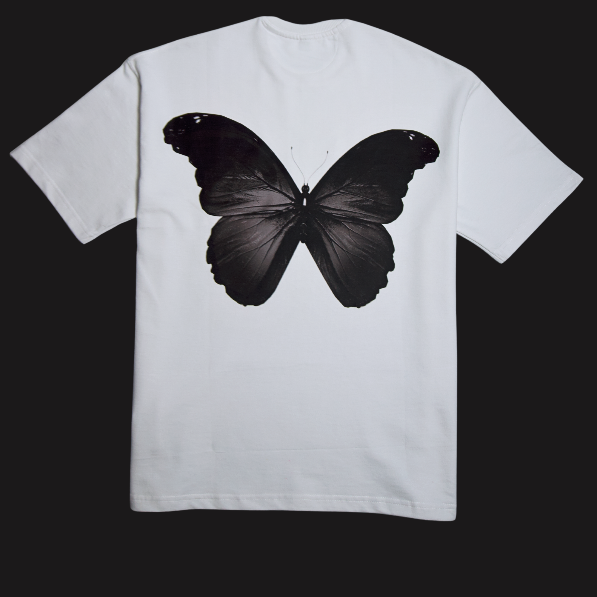 L'Éveil Silencieux full